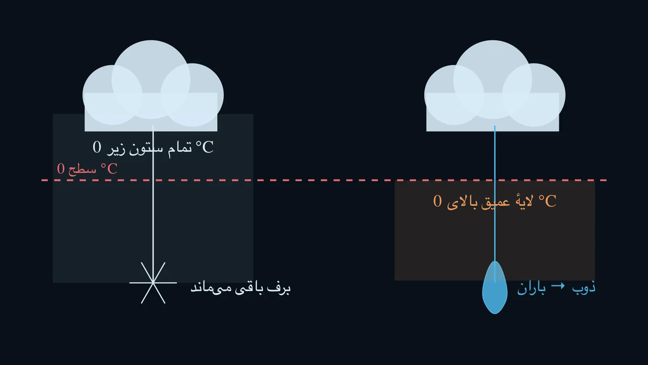 کل ستون است که تصمیم میگیرد.