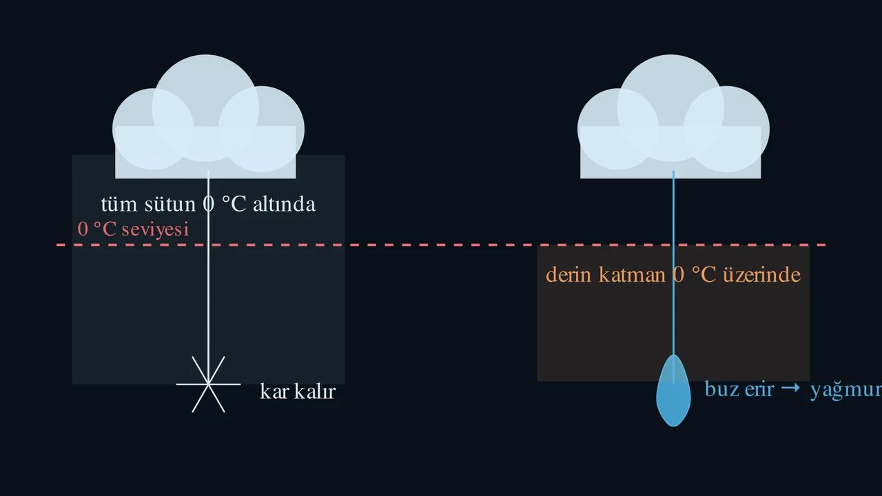 Kararı bütün sütun verir.